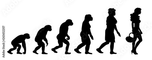 Painted theory of evolution of woman. Vector silhouette of homo sapiens. Symbol from monkey to lady.
