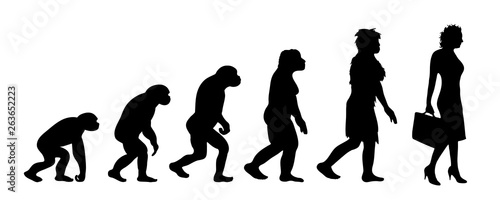 Painted theory of evolution of woman. Vector silhouette of homo sapiens. Symbol from monkey to businesswoman.