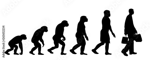 Painted theory of evolution of woman. Vector silhouette of homo sapiens. Symbol from monkey to shopping.