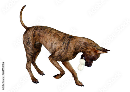 3D Rendering Brindle Grat Dane Dog on White