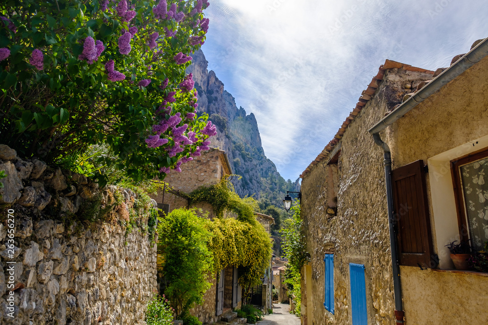Rue du village Moustiers Sainte Marie. Fleurs de lilas au premier plan.