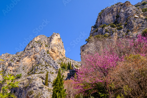 Obraz na płótnie Vue sur les rochers et la chapelle en haut de village Moustier-Sainte-Marie au printemps. Arbre de Judée en fleurs au premier plan. w salonie