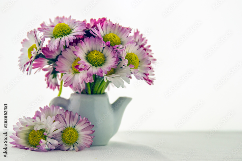 custom made wallpaper toronto digitalIt's spring! Daisies ... scents of spring!