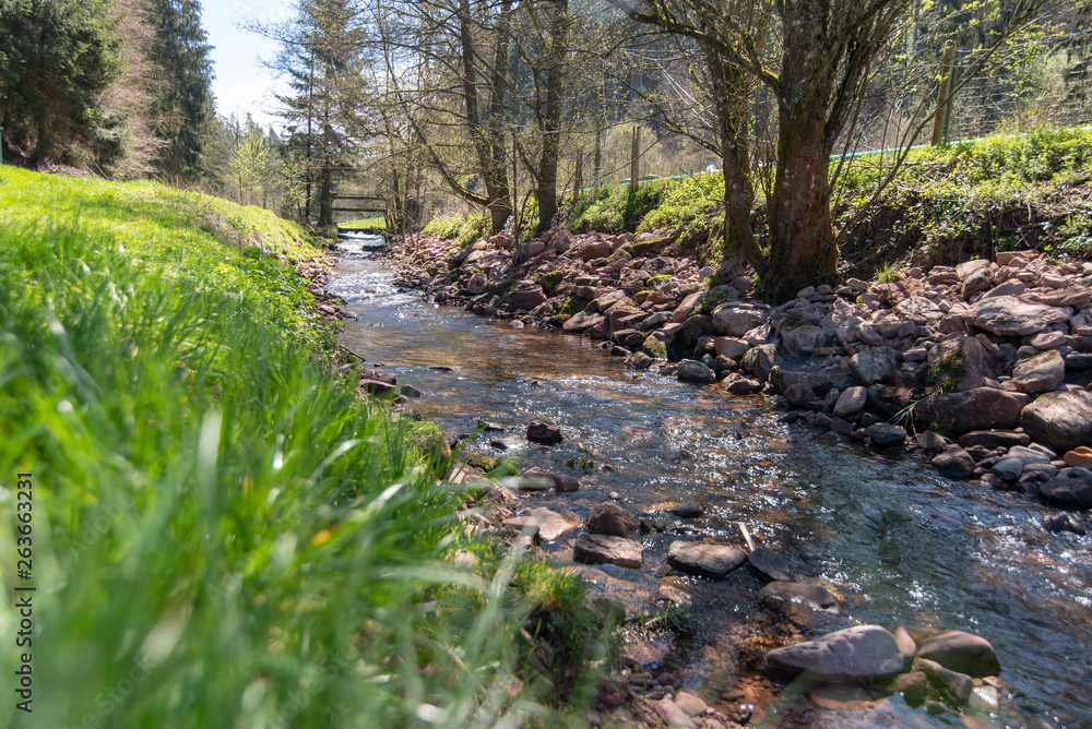 The mountain stream in the Black Forest, Germany in a beautiful, very hot day. The mountain stream in the Black Forest, Germany in a beautiful, very hot day.
