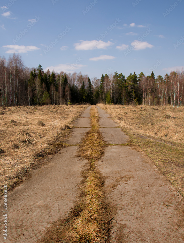 Country road in the forest against the blue sky. landscape against the blue sky Country road in the forest against the blue sky. landscape against the blue sky