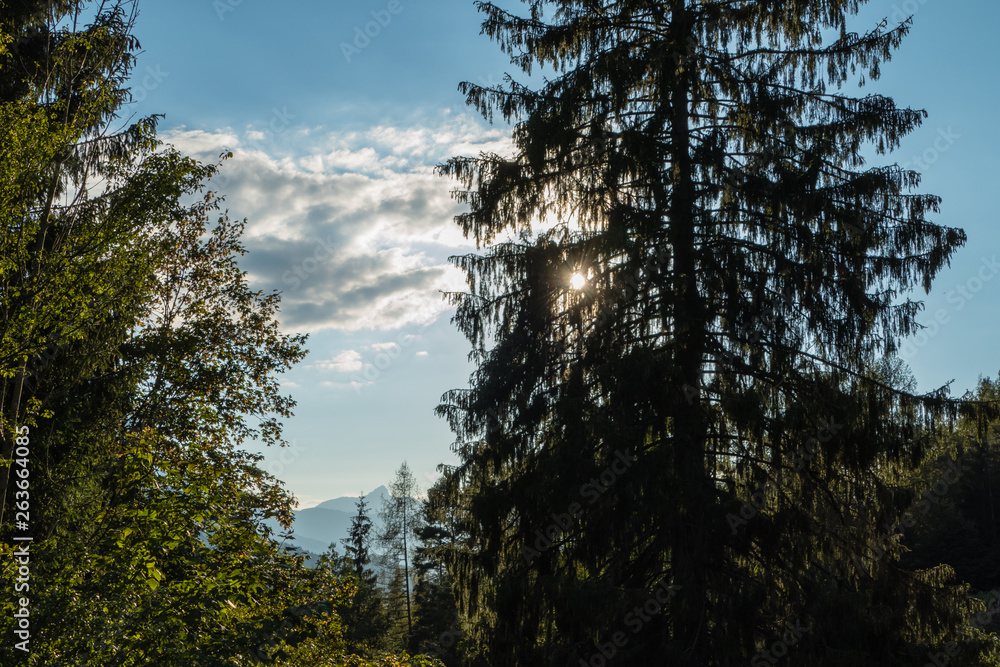 Sonnendurchbruch Alpen Gebirge Wald Sonnendurchbruch Alpen Gebirge Wald