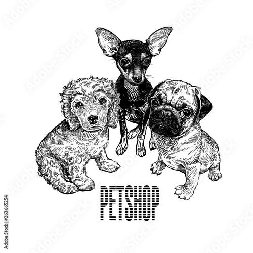 A sign with a picture of dogs. Three cute puppies. Pug, Spaniel and Terrier.