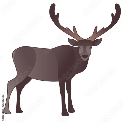 Reindeer cartoon style  with big antlers  isolated on white background