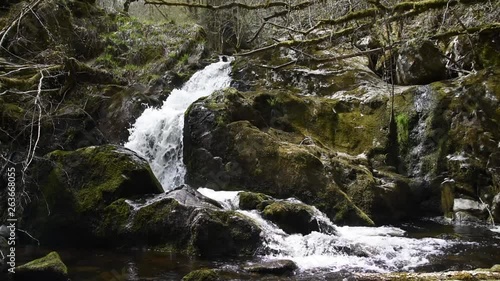 Small mountain river and waterfall in spring forest