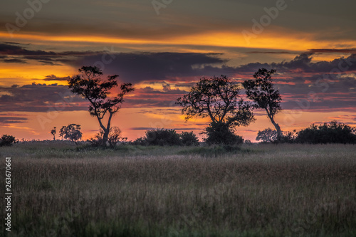 Sunrise over the Okavango delta in Botswana Africa photo