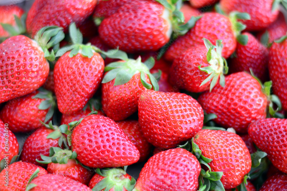 Fresas Fresas