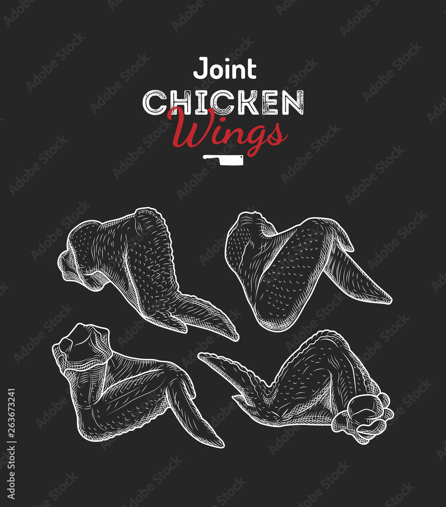 Whole chicken wings joint drawing vector illustration. Stock Vector