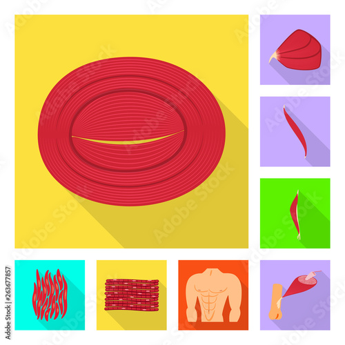 Vector illustration of muscle and cells logo. Set of muscle and anatomy vector icon for stock.