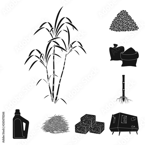 Vector design of sucrose and technology logo. Set of sucrose and cane vector icon for stock.