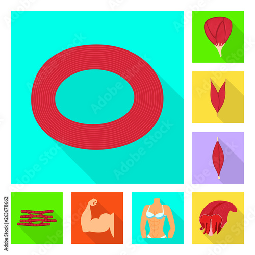 Isolated object of muscle and cells icon. Set of muscle and anatomy stock symbol for web.