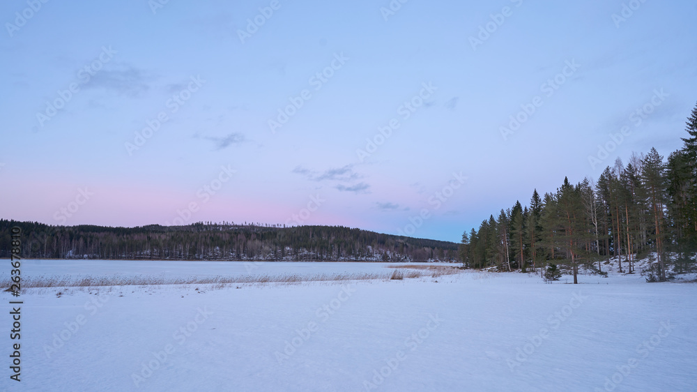Winter Evening