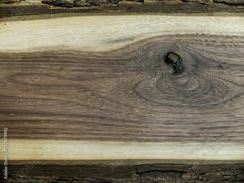 Creative idea for background. nut board, wood cut, texture, bark close-up