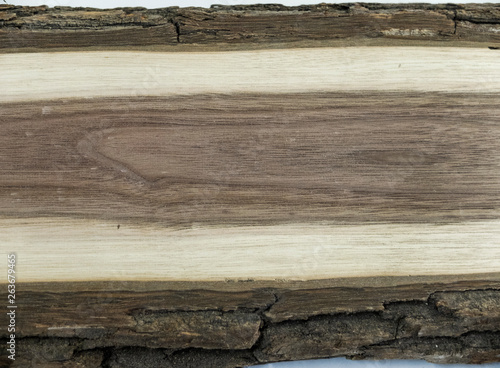 Creative idea for background. nut board, wood cut, texture, bark close-up