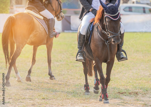 Equestrians during workouts warm up prepare competition in race course