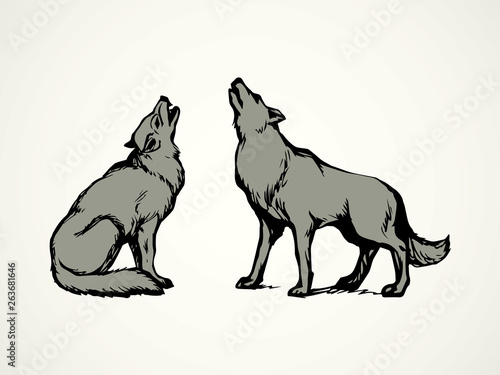 Wolf. Vector drawing