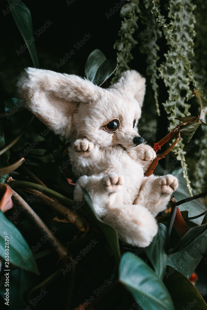 Obraz premium handmade teddy fennec in flowers 