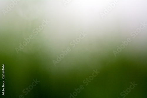 beautiful natural green gradient background
