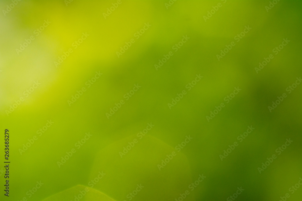 beautiful natural worm green gradient background Stock Photo | Adobe Stock