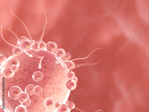 Slika na platnu 3d rendered illustration of sperms and a human egg cell