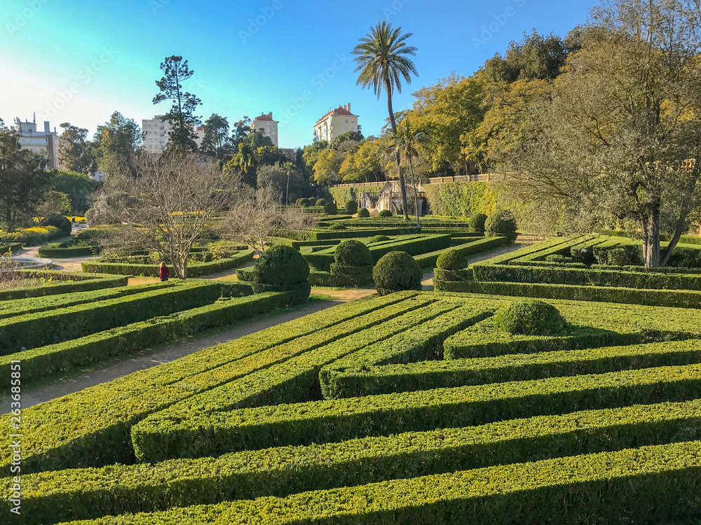 Sunny day in formal garden with topiary plants, smooth lines, geometric shape and tracks in Lisbon
