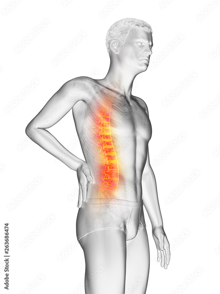 3d rendered medically accurate illustration of a mans painful back 3d rendered medically accurate illustration of a mans painful back