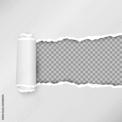 Design of torn paper strip. Torn open paper with space for text. Vector illustration