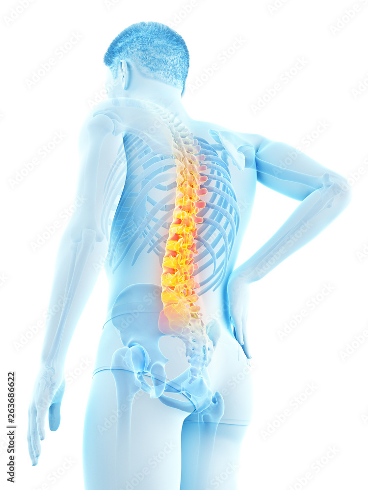 3d rendered medically accurate illustration of a mans painful back 3d rendered medically accurate illustration of a mans painful back