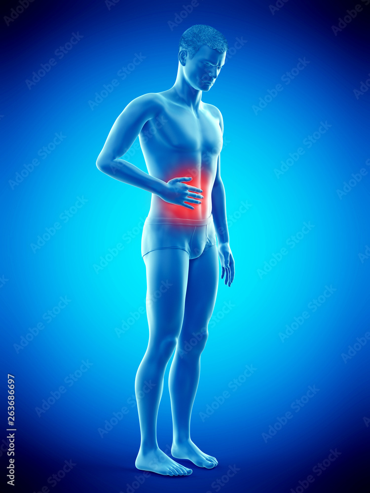 3d rendered medically accurate illustration of a mans painful stomach 3d rendered medically accurate illustration of a mans painful stomach