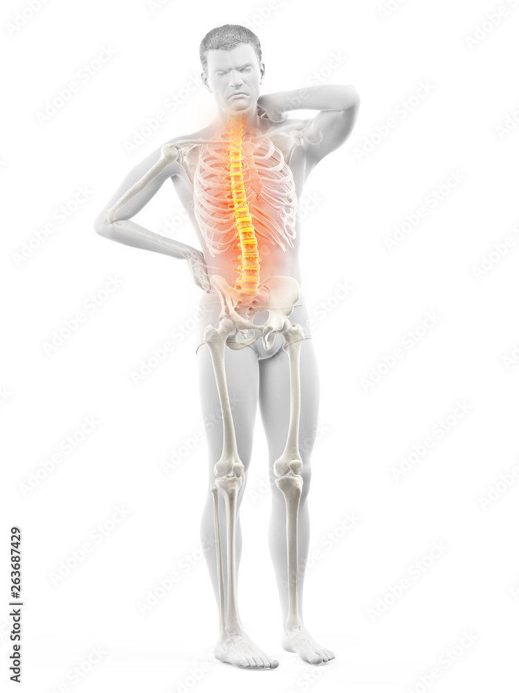 3d rendered medically accurate illustration of a mans painful back 3d rendered medically accurate illustration of a mans painful back