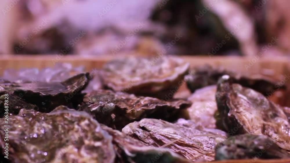 Oysters in a restaurant. Oysters on ice Oysters in a restaurant. Oysters on ice