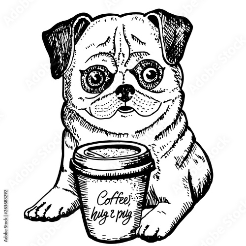  Hand drawn pug with a Cup of coffee on a white background. Graphics ink illustration.