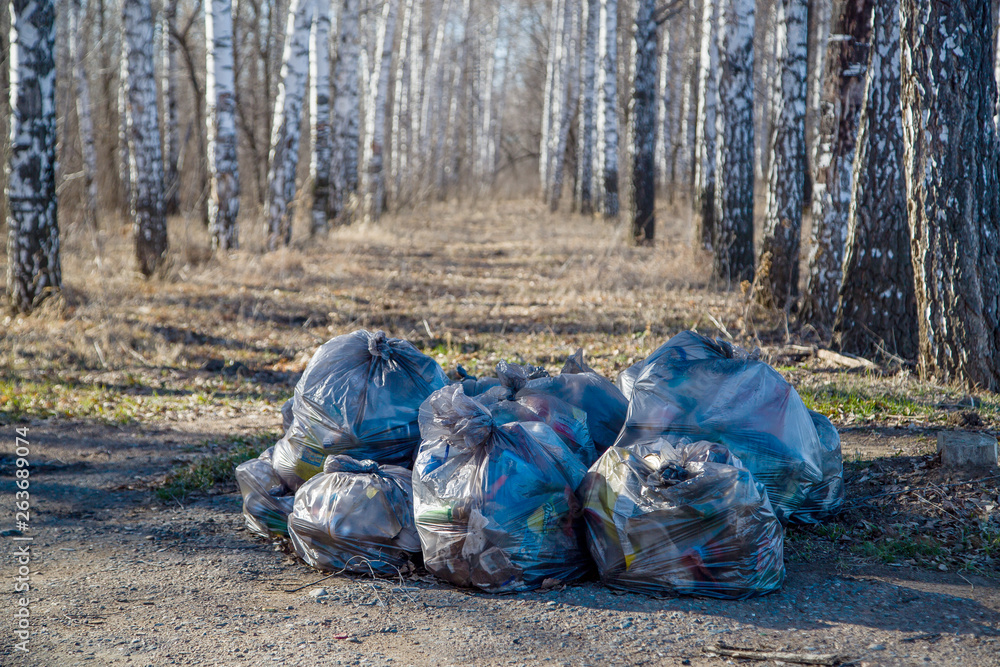trash bags in a forest trash bags in a forest