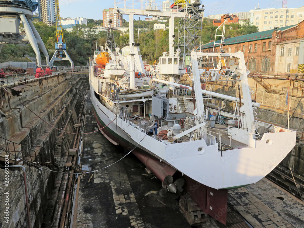 the Vladivostok, the Golden horn, the Dalzavod ship in dry dock