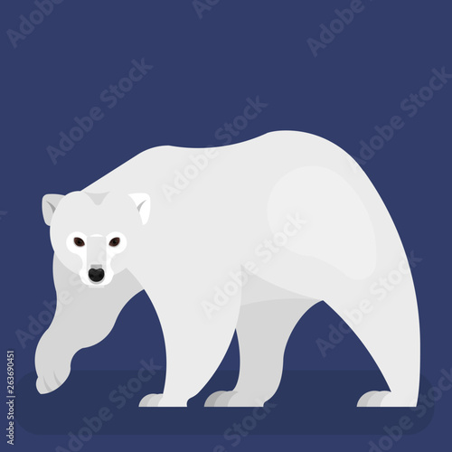 Polar bear