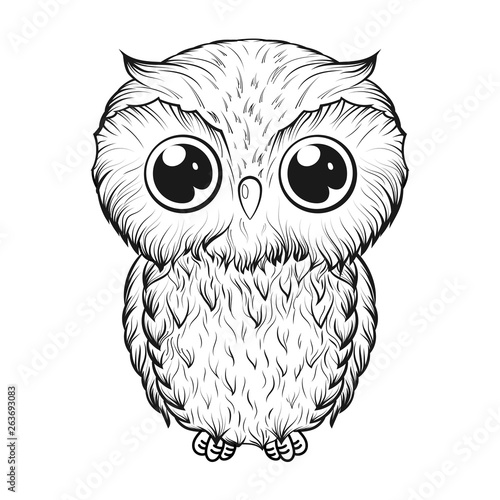 Cute owl in cartoon style isolated on white background. Hand-drawn vector illustration