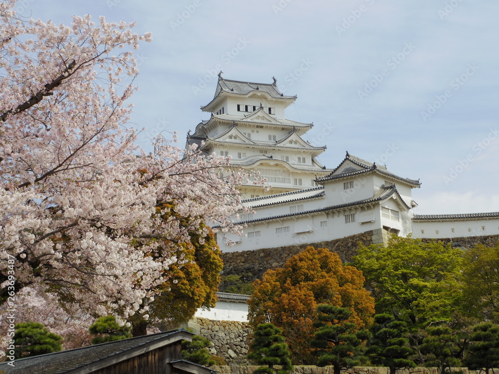世界遺産の姫路城