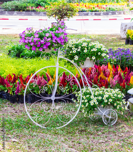Vintage white bike and flower pot decoration in cozy home flowers garden on summer. 
