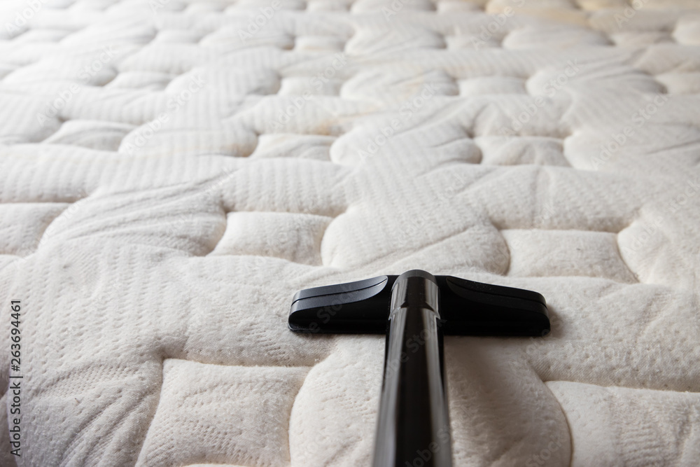 Fototapeta premium cleaning dirty mattress by vacuum cleaner. dust mites on bed, texture. concept : allergy in bed room.