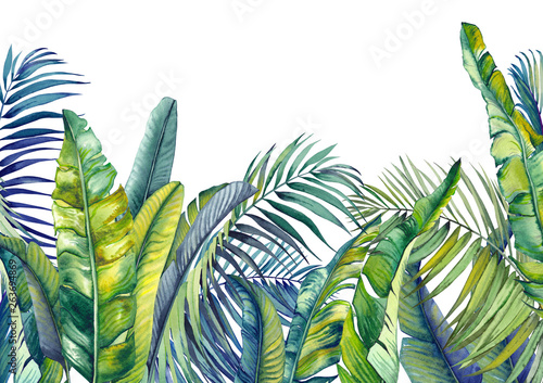 Tropical palm and banana leaves. Jungle wallpaper. Isolated watercolor background.