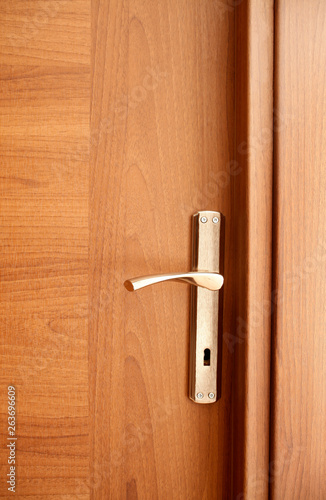 Modern wooden door close-up