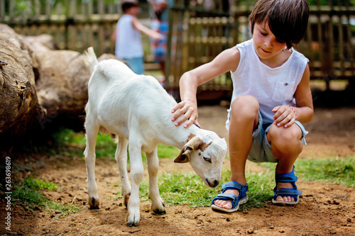 Preschool boy, petting little goat in the kids farm. Cute kind child feeding animals