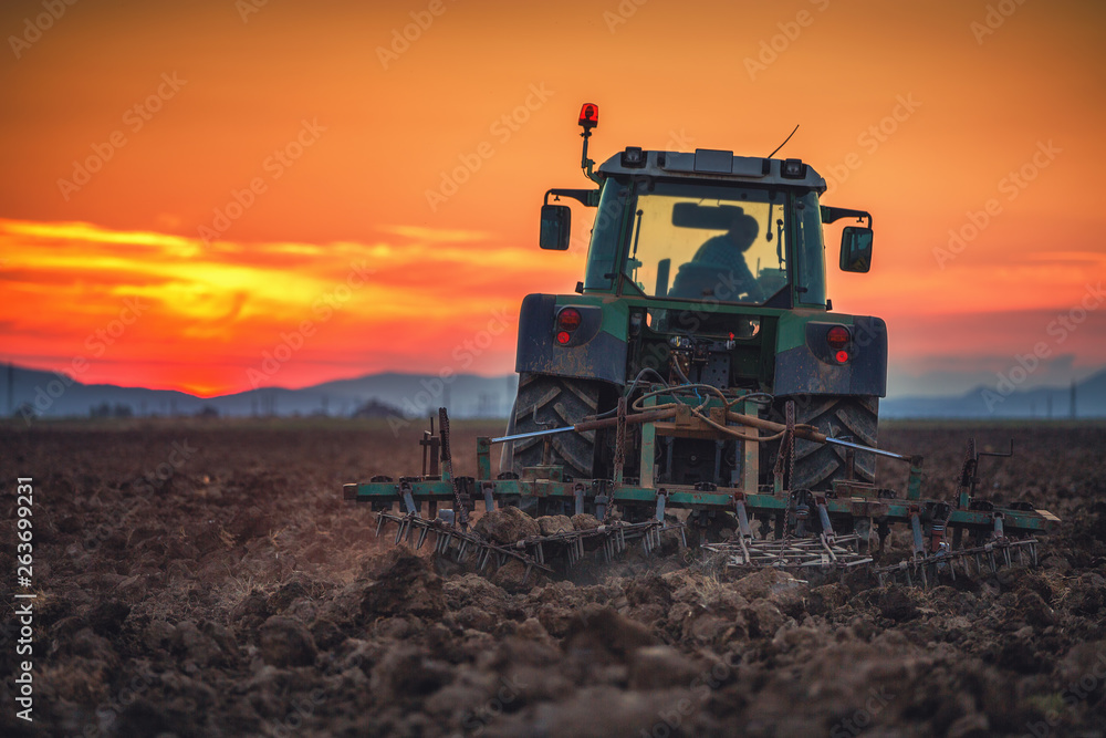 Fototapeta premium Beautiful sunset, farmer in tractor preparing land with seedbed cultivator