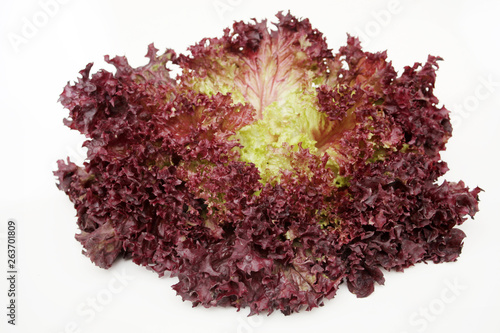 Red lettuce isolated on white background,