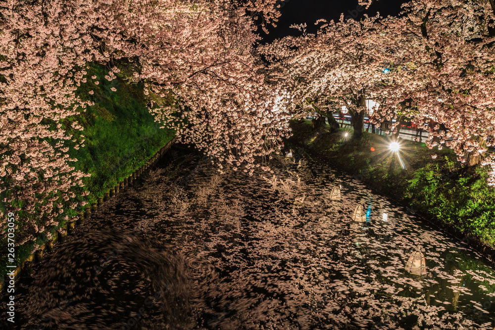 春のライトアップされた弘前城跡の風景