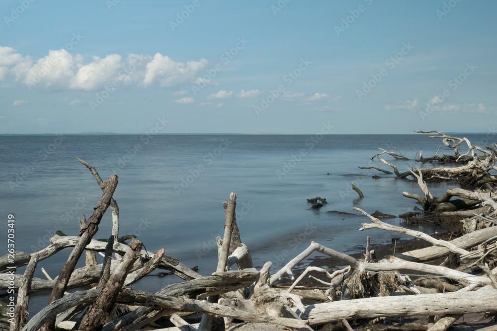 Looking across the ocean toward the horizon with driftwood in the foreground, Fire Island, NY